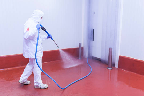 Best Building Exterior Washing  in Countryside, IL